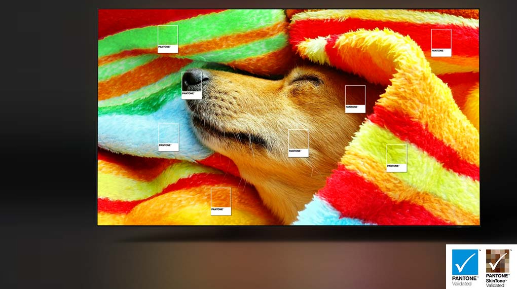 Smart Tivi OLED Samsung 4K 65 inch QA65S95CA - Chứng nhận PANTONE 