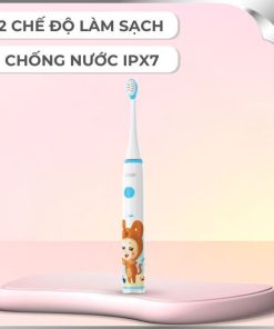 Bàn chải điện Seago SG-567-BLUE