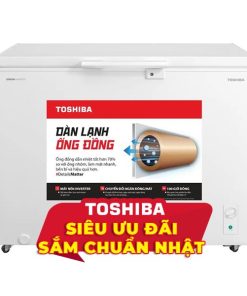 Tủ đông Toshiba Inverter 293 lít GR-RC390CM-PMV(01)